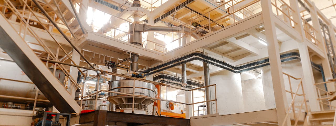 Vasant Masala production facility